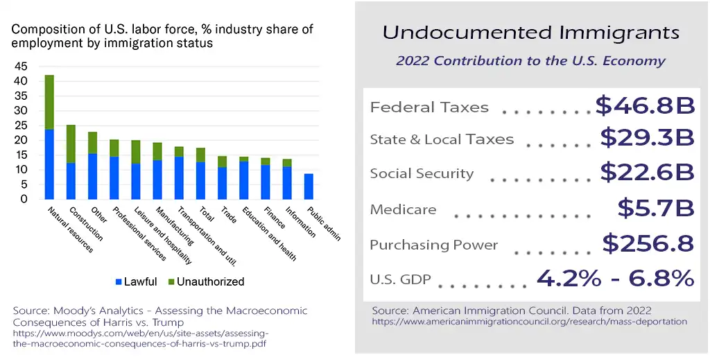 U.S. labor force composition by immigration status. Economic impact of undocumented works in 2022